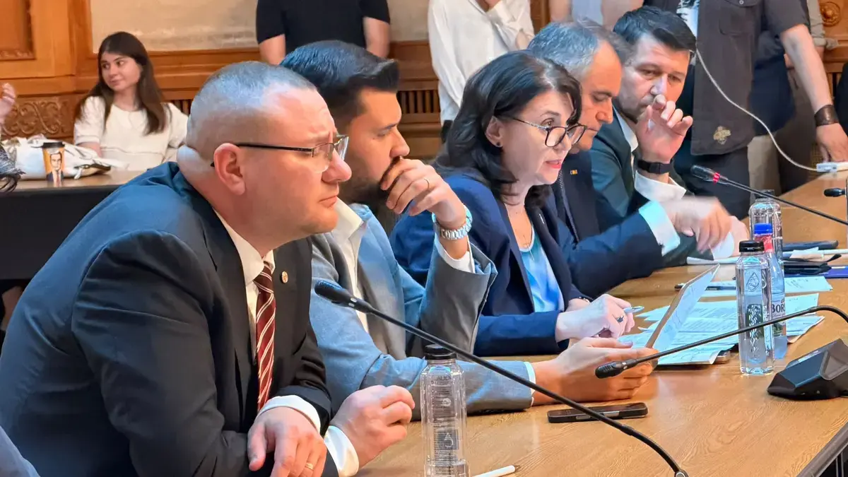 ChatGPT a dat răspunsuri la audierea ministrului Educației Monica Anisie