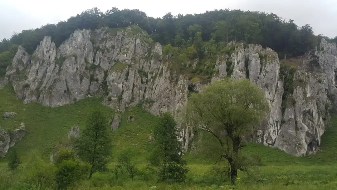 Cipul AI care imită creierul: Un pas spre inteligența artificială reflexivă