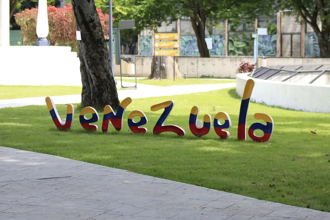Guvernul și opoziția venezueleană, la masa discuțiilor pentru alegeri