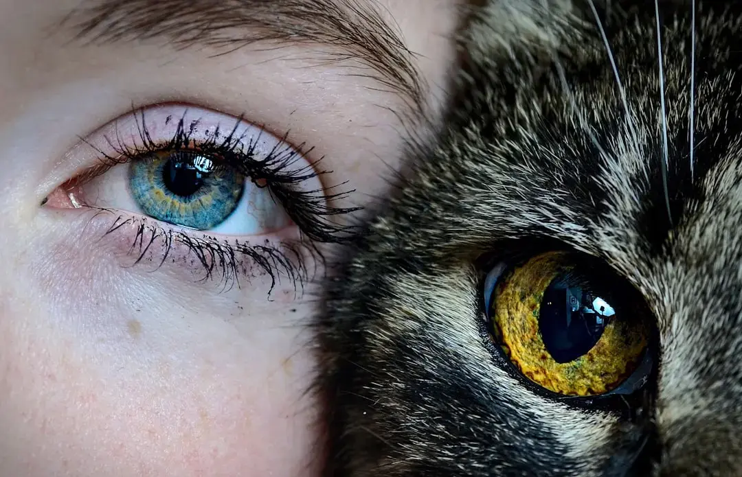 KATSEYE, profund emoționate de povestea lui Manon din „Wild Hearts