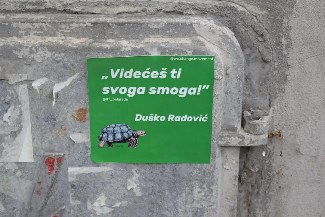 TikTok a intervenit rapid în cazul live-ului Perez Hilton cu comportamente de auto-vărâm