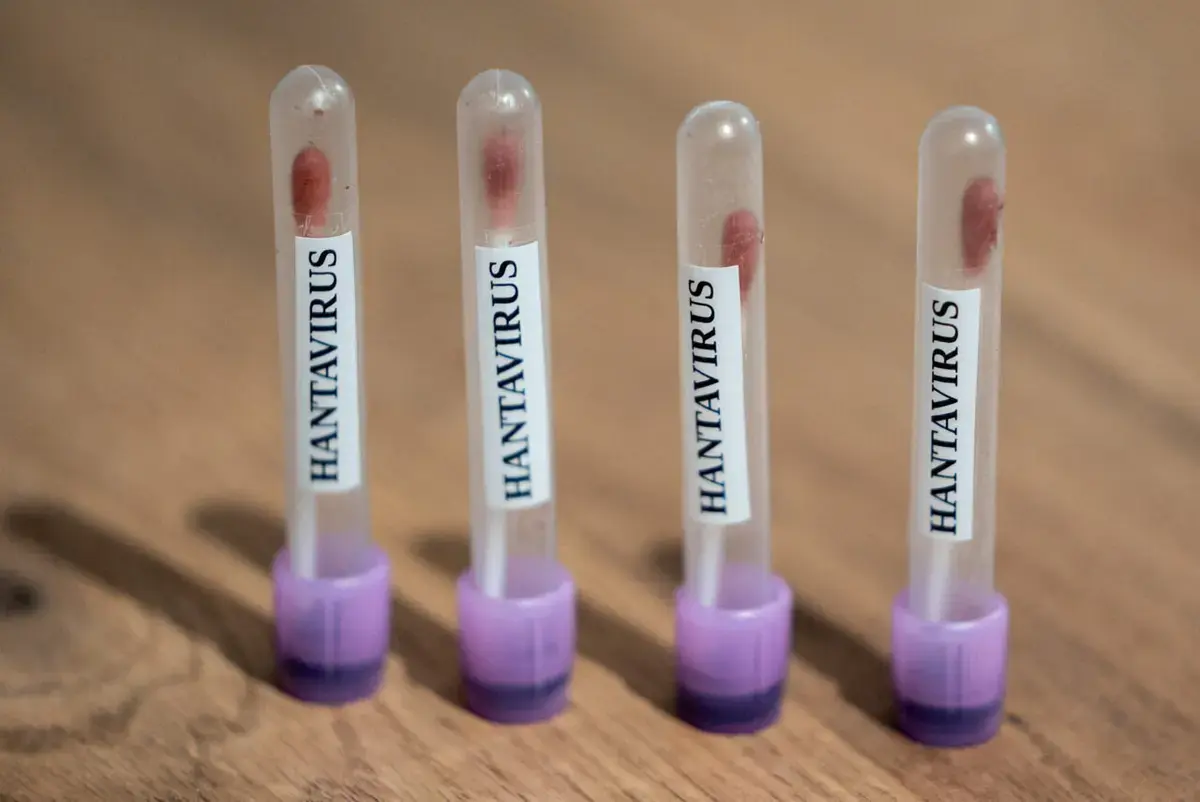 Turistă infectată cu hantavirus, în stare gravă, pe un vas de croazieră