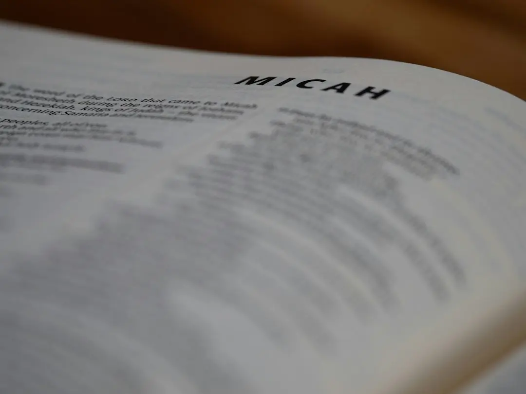 Lucian Mîndruță a devenit pentru o zi curier Wolt