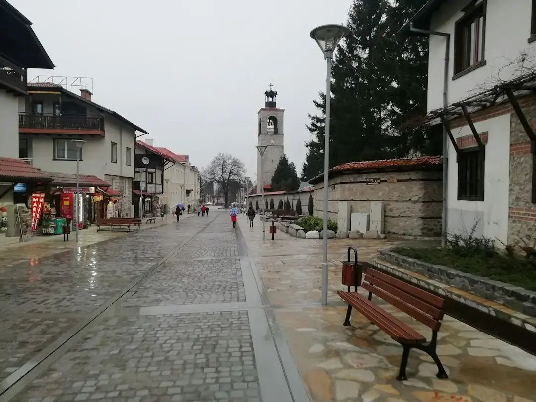 Traian Băsescu despre reținerea lui Călin Georgescu: „Un spectacol ordonat