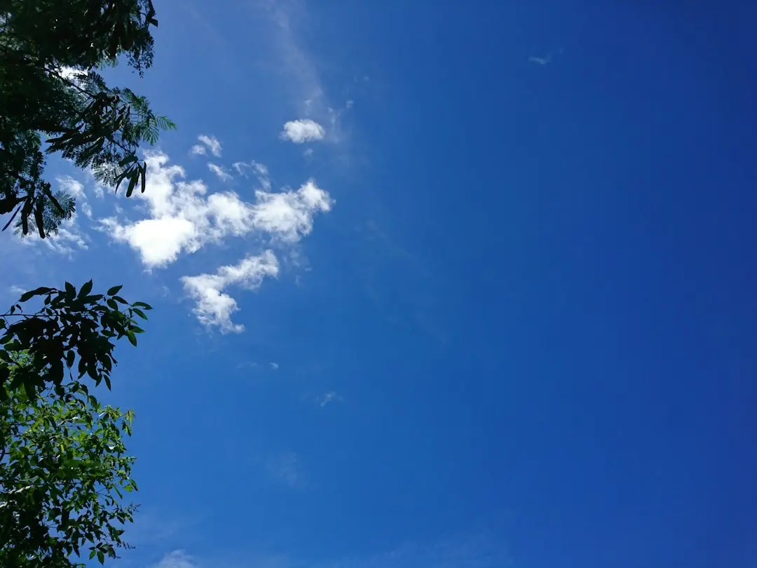 Capcana intimității pe Bluesky: De ce datele tale nu sunt atât de private pe cât crezi