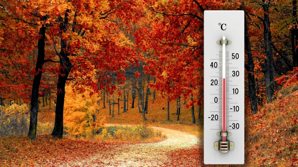 Ceață, burniță și ploi slabe: temperaturi până la 20 de grade pe 25 octombrie