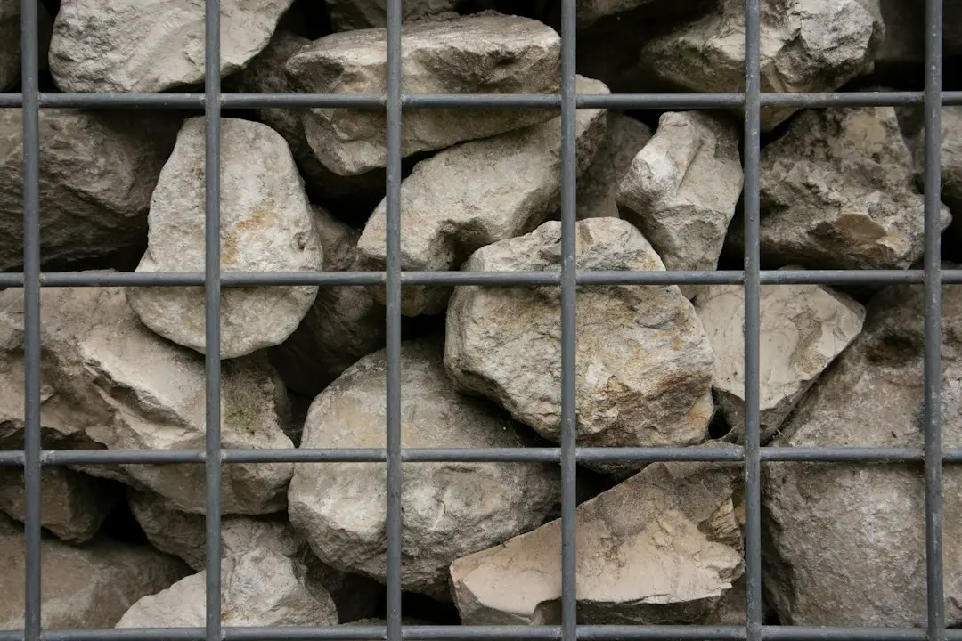 Cutremur de 4,9 grade produs luni în zona Râmnicu Sărat
