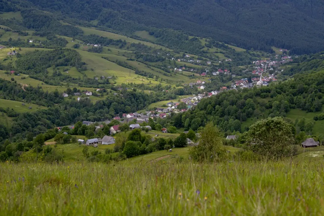 Viața scurtă a SaaS-ului: de la 4 ani la doar 18 luni