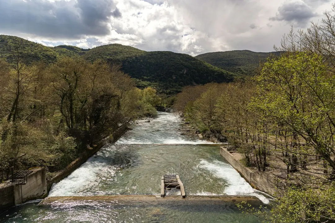 Gustul rapid: 13 rețete simple cu o pungă de orez înghețat