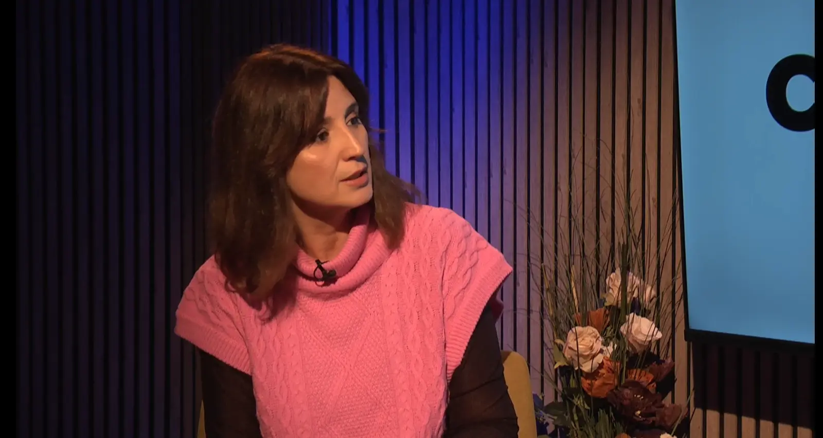 Sanda Nicola: În PNL există oameni care au profitat de parteneriatul cu PSD