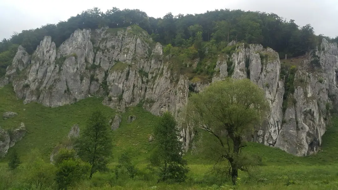 Trădători și cioburi: cum se reface un guvern din resturi